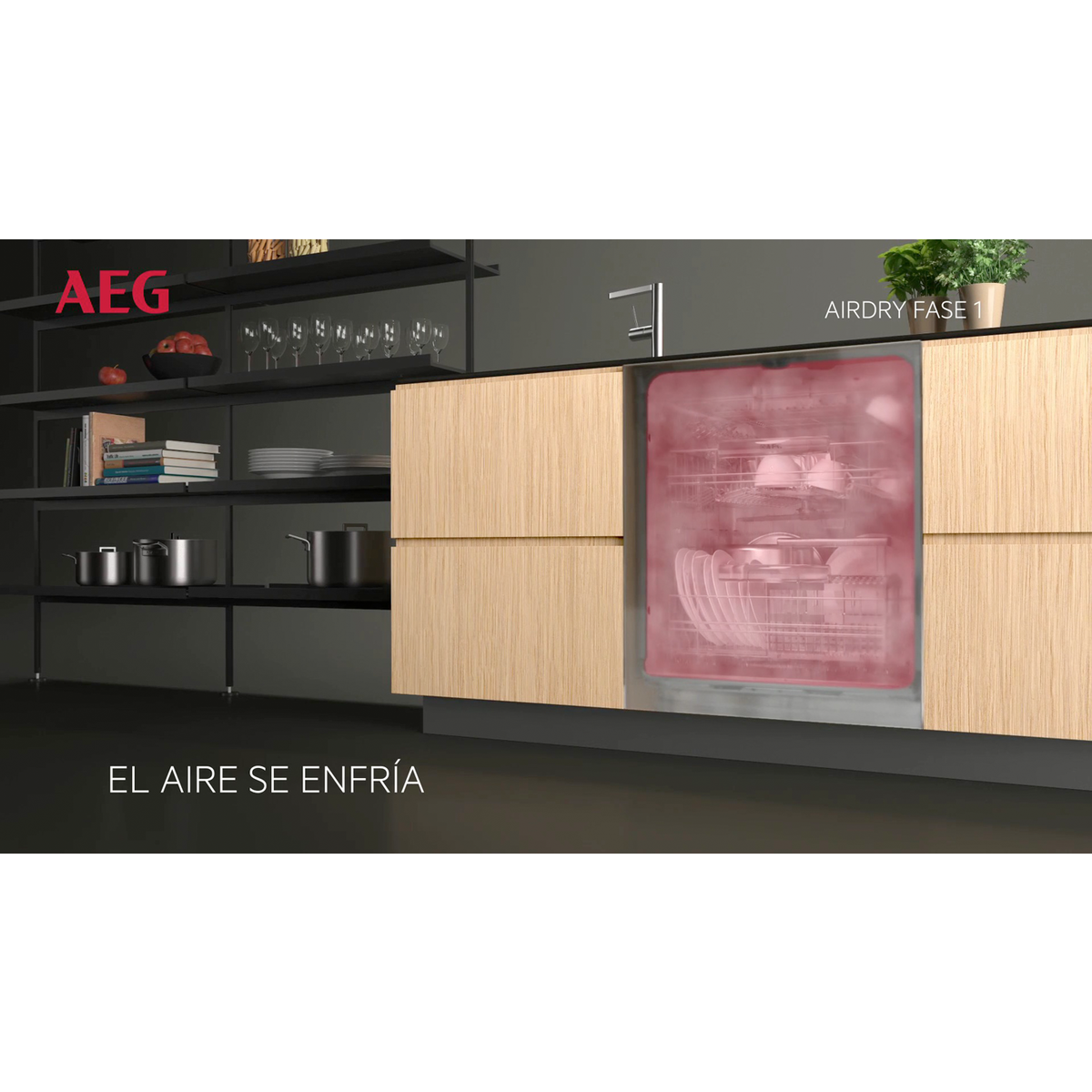 AEG - Lavavajillas integrables - FSE62417P