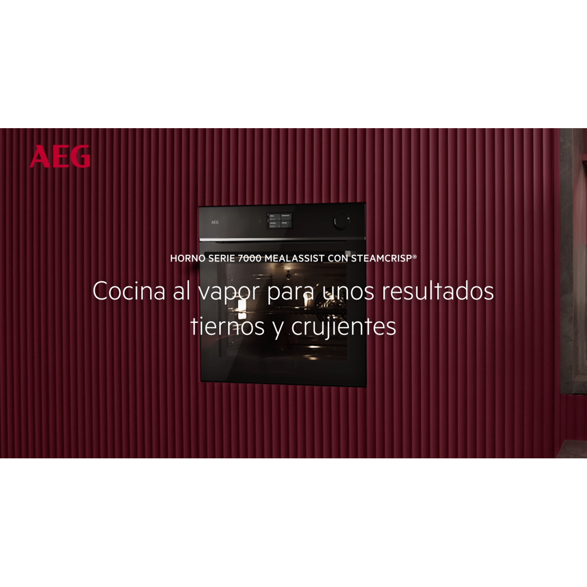 AEG - Hornos pirolíticos - TR7PB73FSB